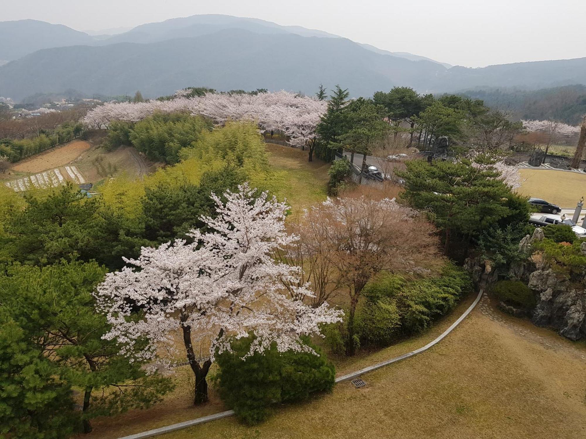 Hotel Gaya Seongju Εξωτερικό φωτογραφία
